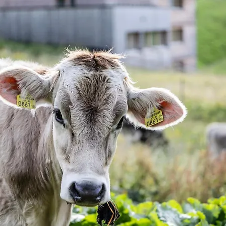 Berg Aparts Faschina - 03 *